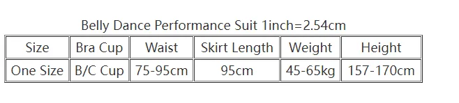 Belly Dance Competition Costumes Set for Women Belly Dancing Performance Clothing Suit Bellydance Suit Customize Oriental outfit