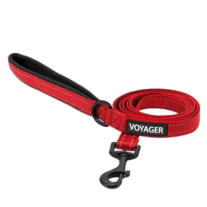 Valentine Reflective Dog Leash