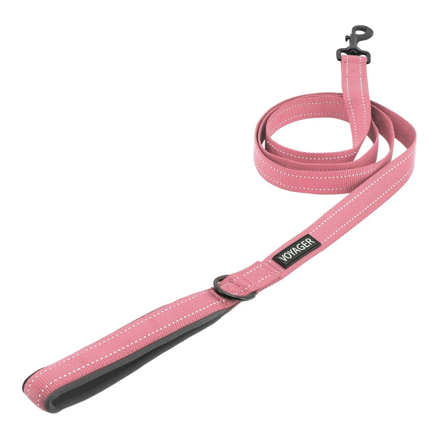 Valentine Reflective Dog Leash